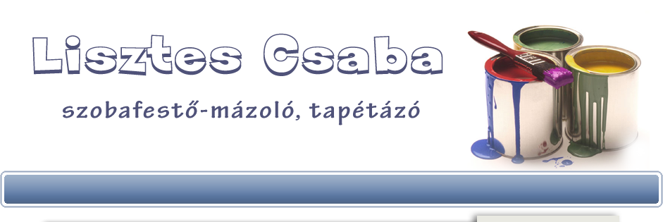 Festőszaki